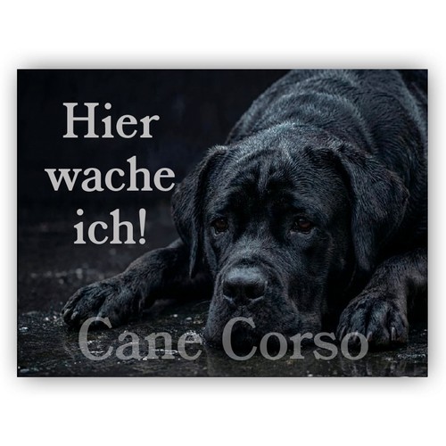Cane corso warnschild - corso,